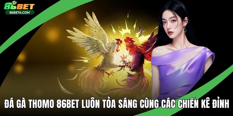 Đá Gà Thomo 86bet
