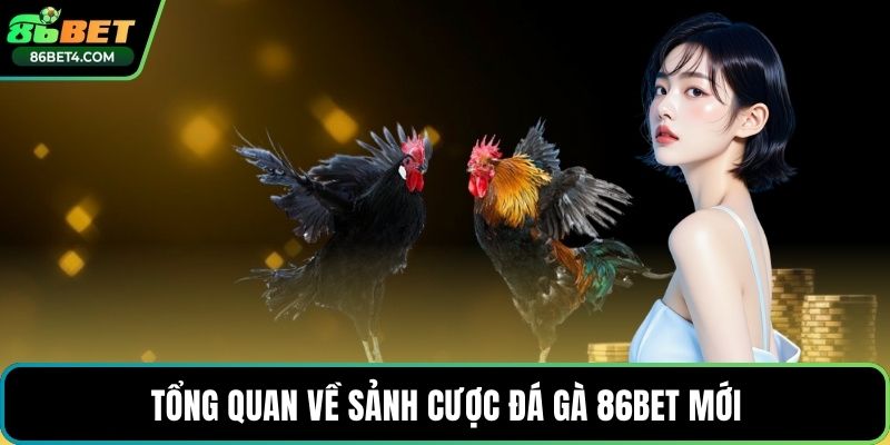 Tổng quan về sảnh cược đá gà 86bet mới
