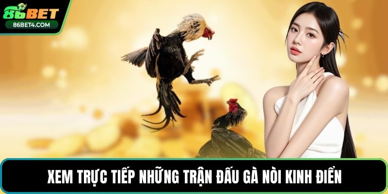 Xem trực tiếp những trận đấu gà nòi kinh điển